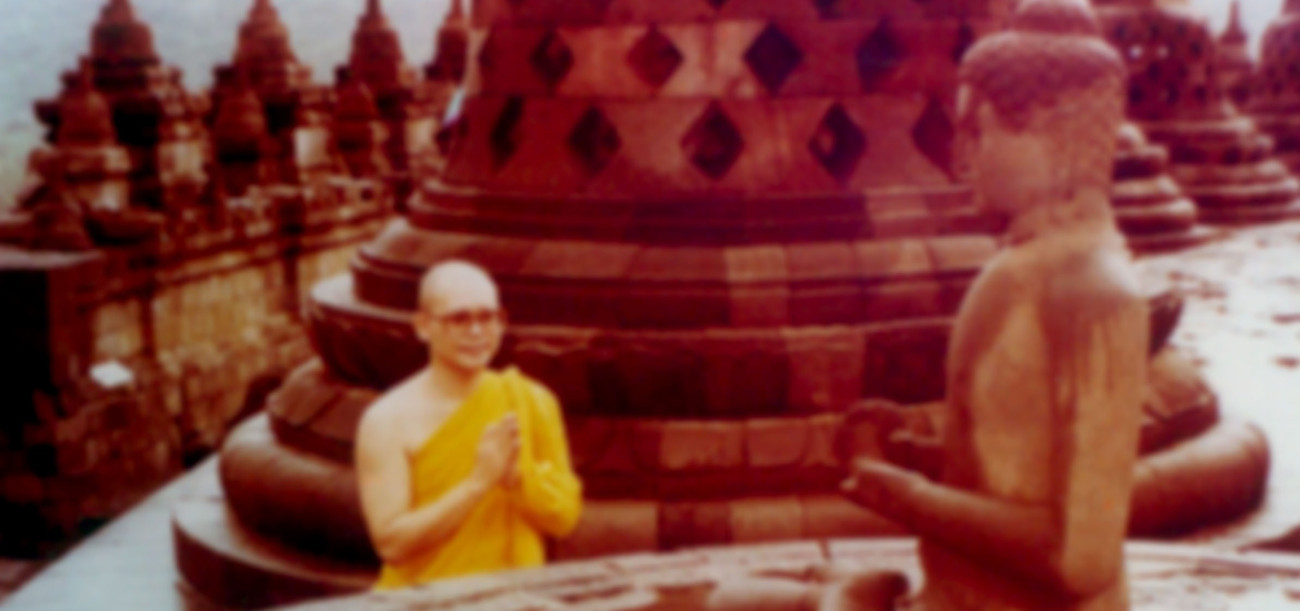 กำลังเป็นผู้ฝึกฝนอยู่