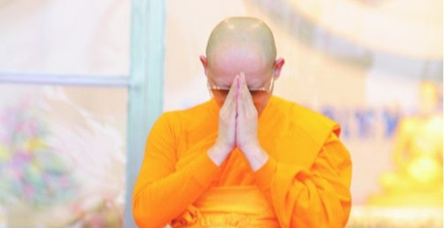 นิ่งแน่นและนุ่มนวล